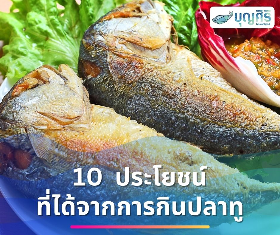 10 ประโยชน์จากการกินปลาทู | ได้คุณค่าทางโภชนาการและสุขภาพ